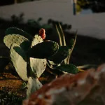 Pnoes Skyros Гостевой дом Kalamitsa