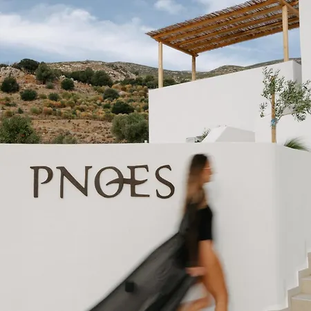 Гостевой дом Pnoes Skyros Kalamitsa